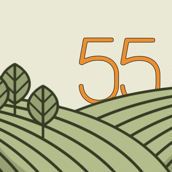 Block55 logo